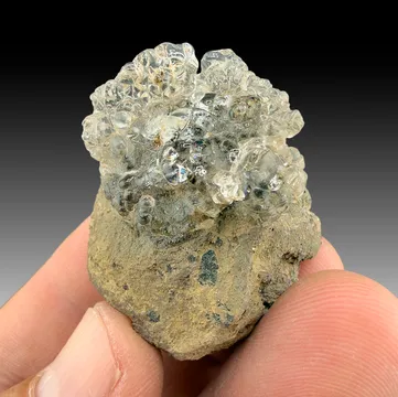 Opal-AN