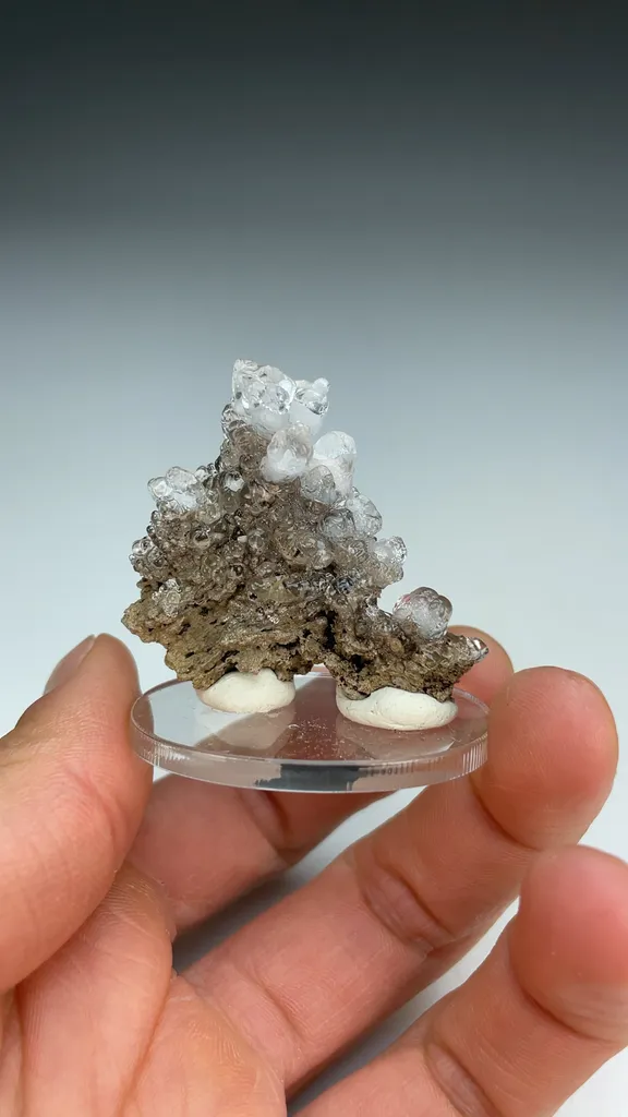 Opal-AN - image 3