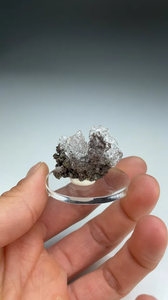 Opal-AN - image 3