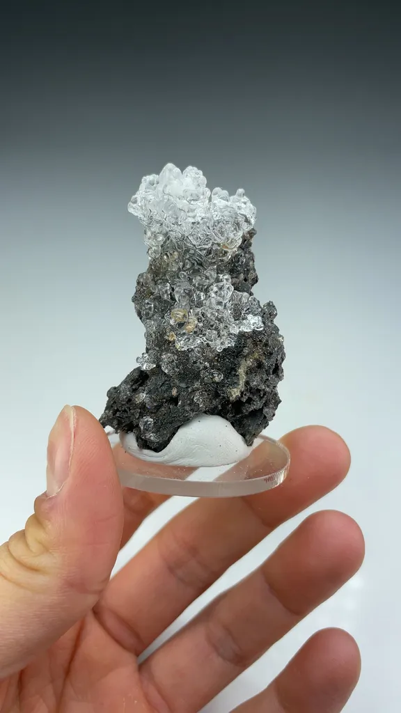 Opal-AN - image 3