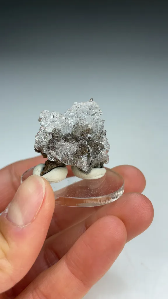 Opal-AN - image 3