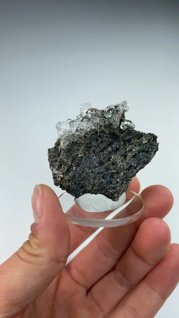 Opal-AN - image 3