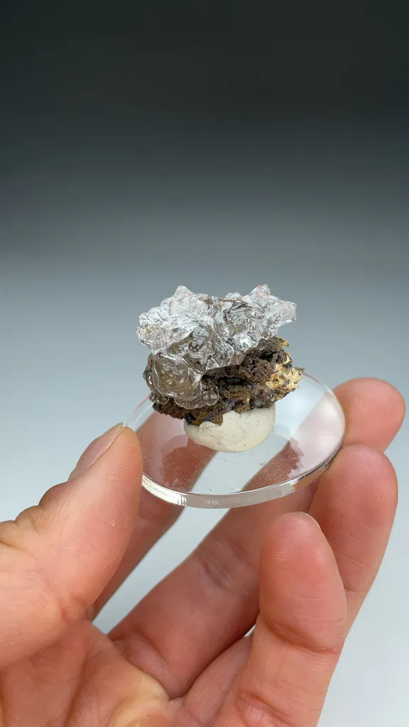 Opal-AN - image 3