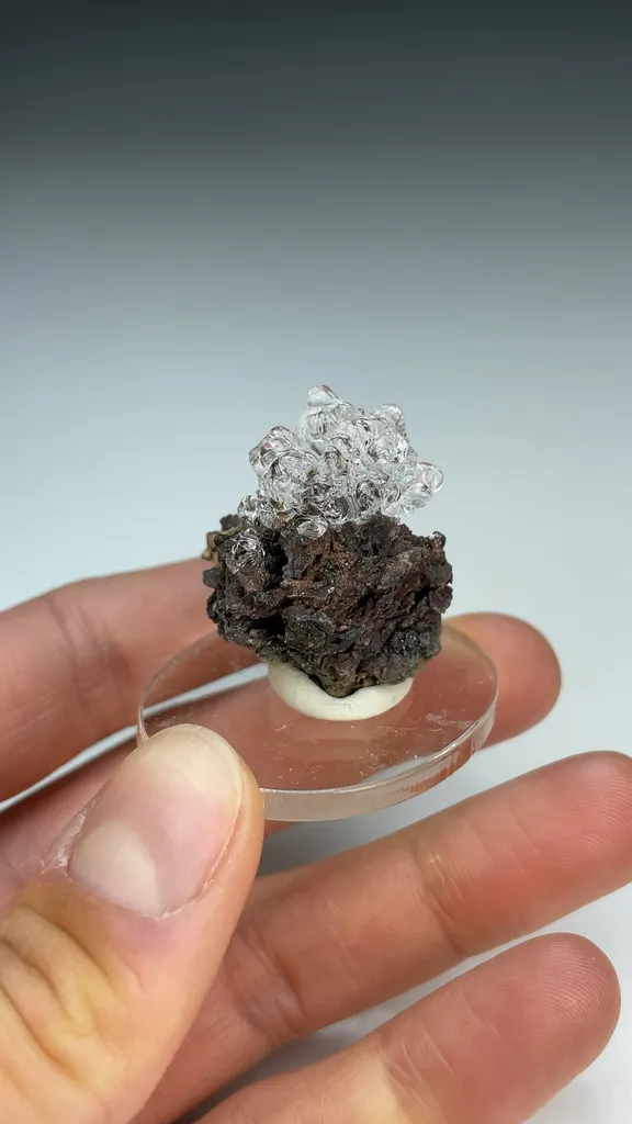 Opal-AN - image 3