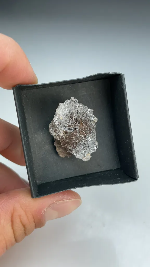 Opal-AN - image 3