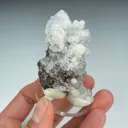 Opal-AN with Aragonite - image 3