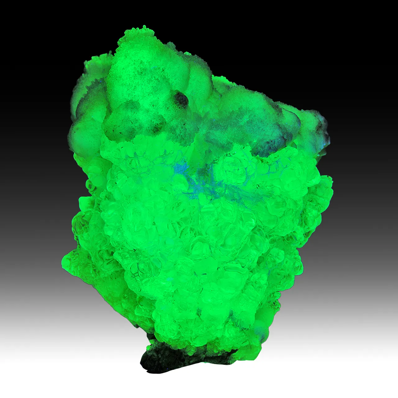 Opal-AN with Aragonite - image 1