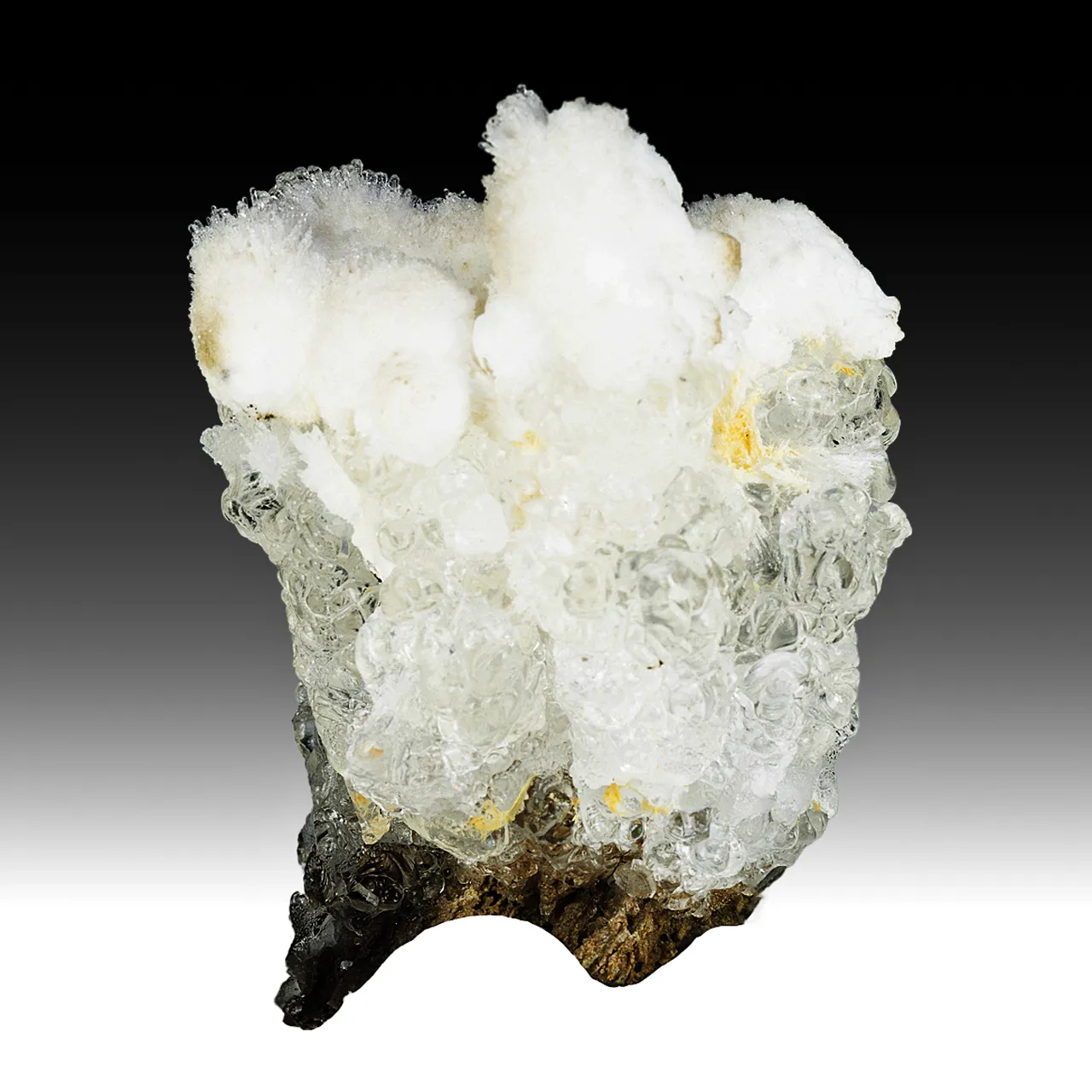 Opal-AN with Aragonite - image 2