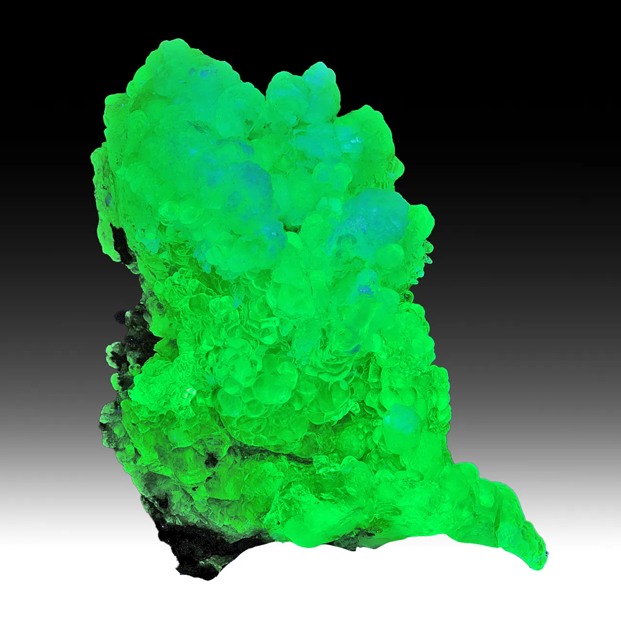 Opal-AN with Aragonite - image 1