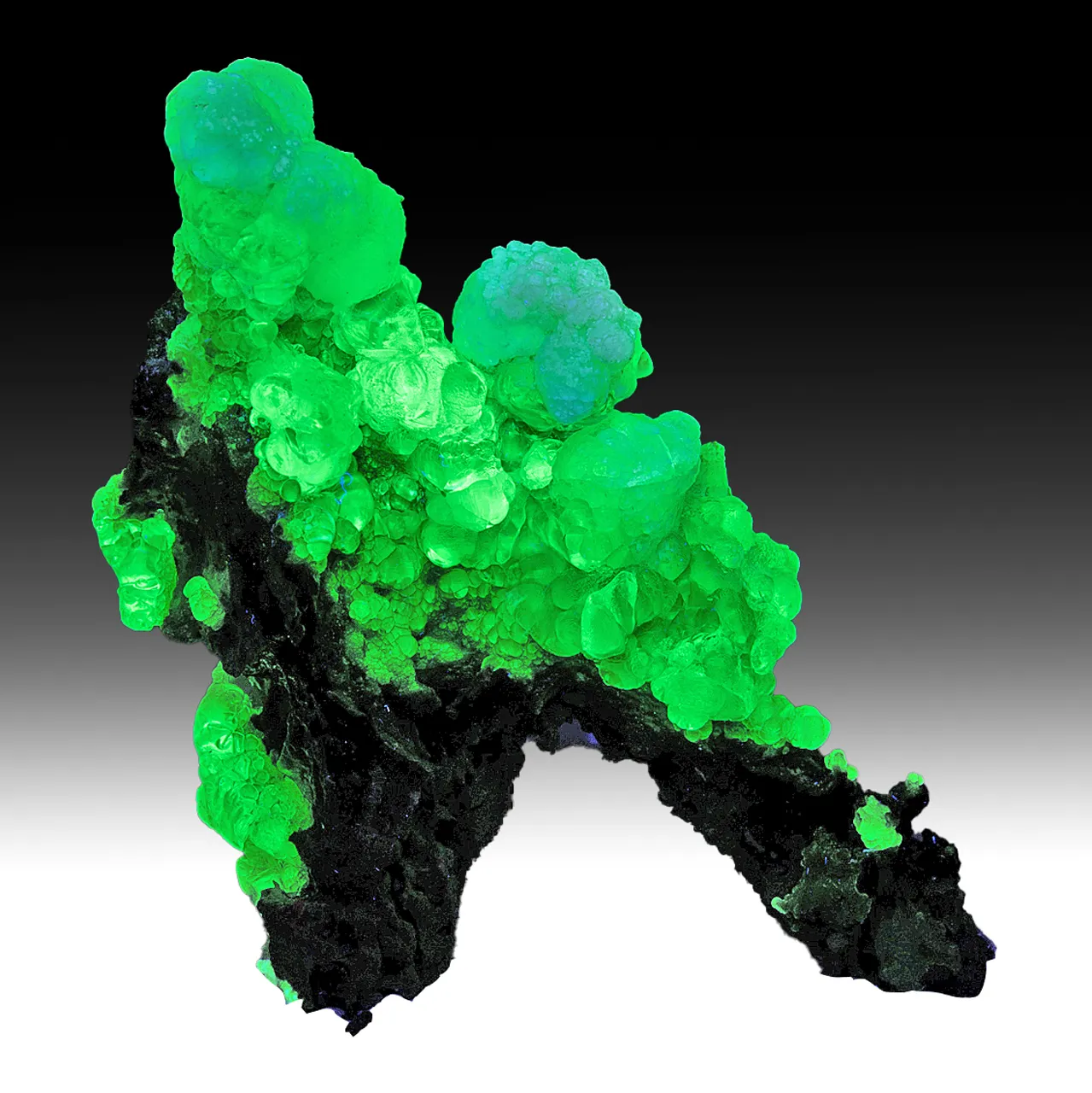 Opal-AN with Aragonite - image 1