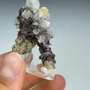 Opal-AN with Aragonite - image 3