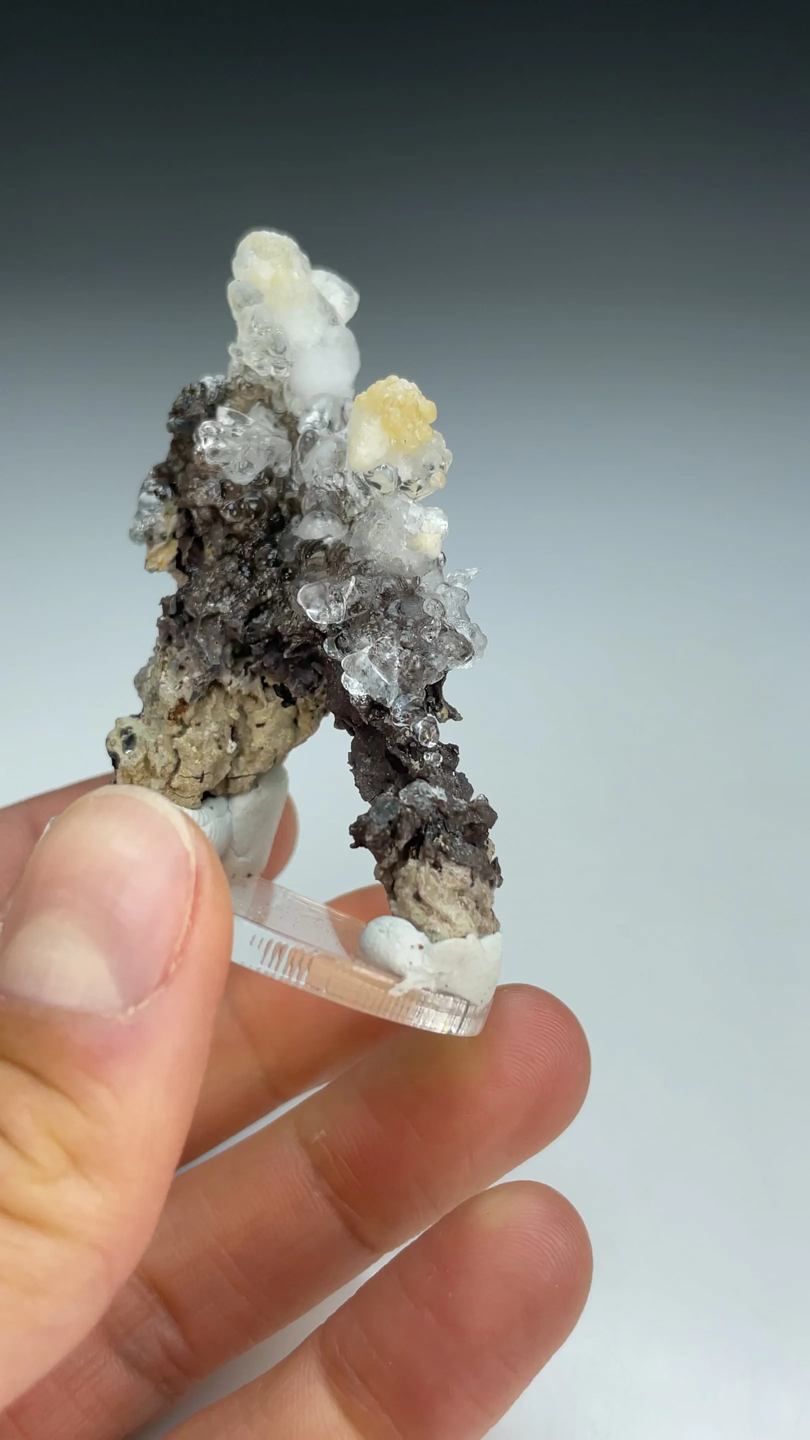 Opal-AN with Aragonite - image 3