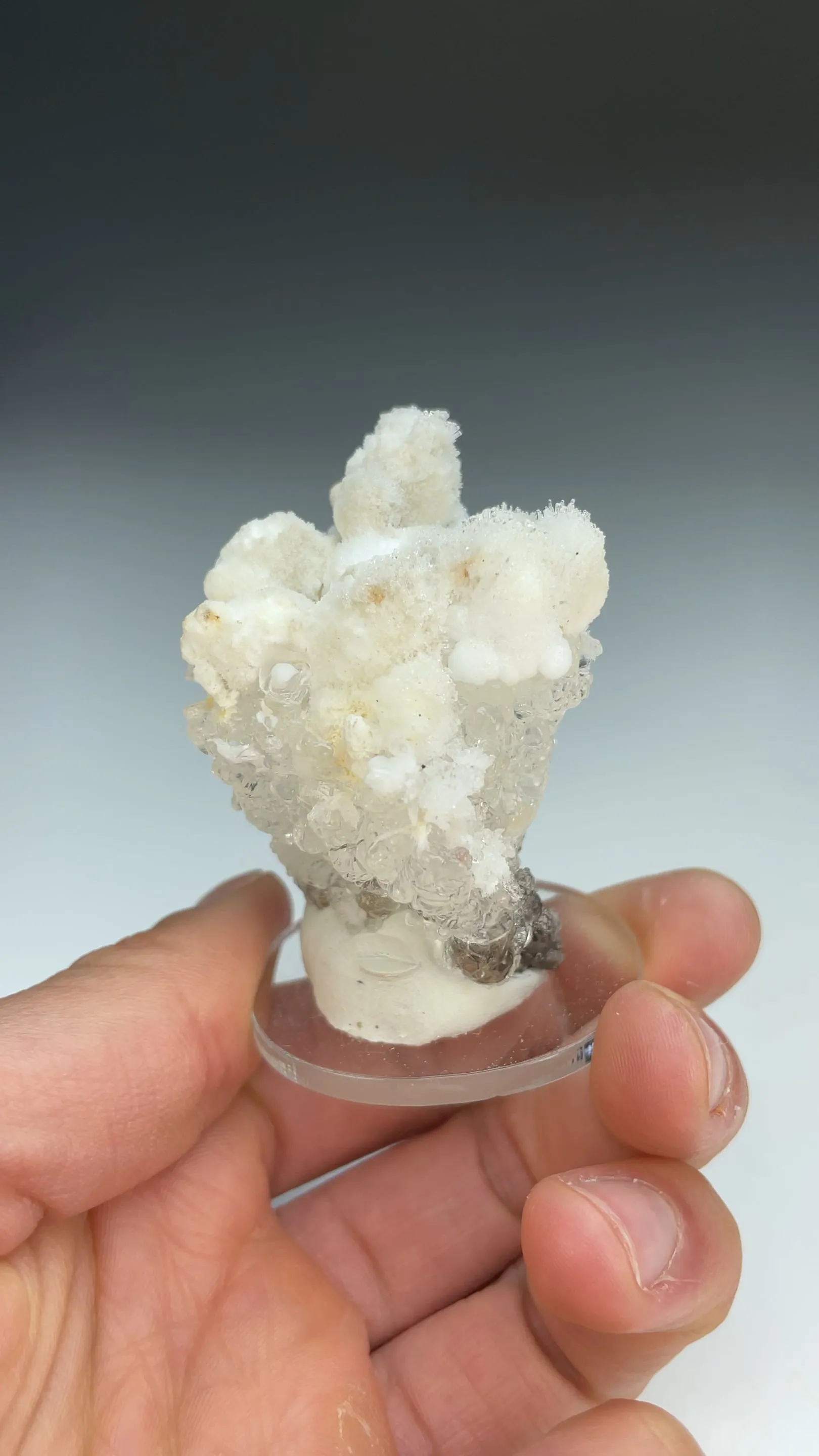 Opal-AN with Aragonite - image 3