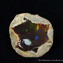 Opal - image 4