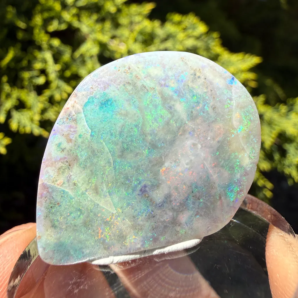 Opal - image 4