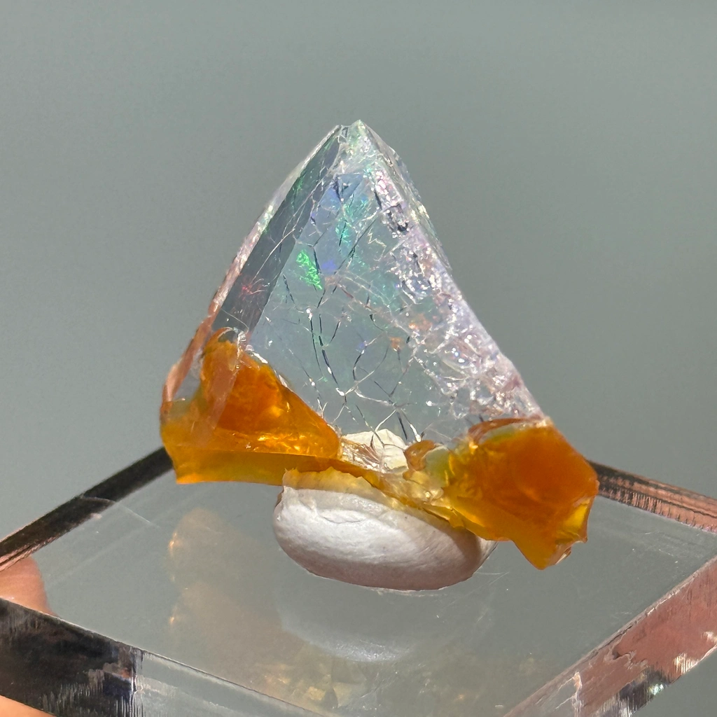 Opal from Opal Butte, Oregon, USA - image 3