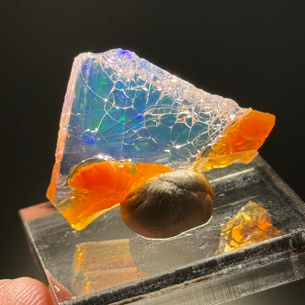 Opal from Opal Butte, Oregon, USA - image 2