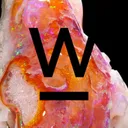 specimen video