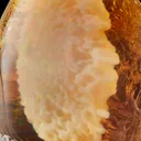 Opal from Tsehay Mewcha, Amhara Region, Ethiopia - image 2