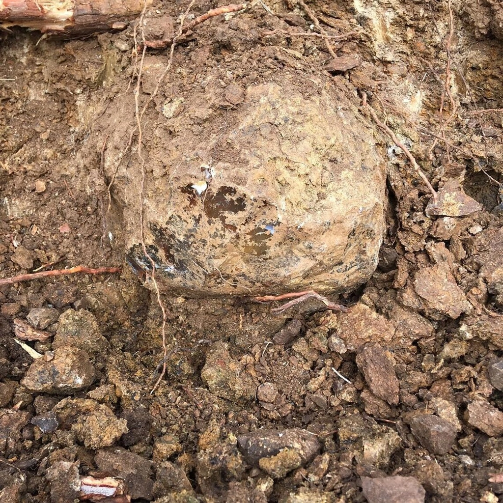 Opal from Türkiye - image 6