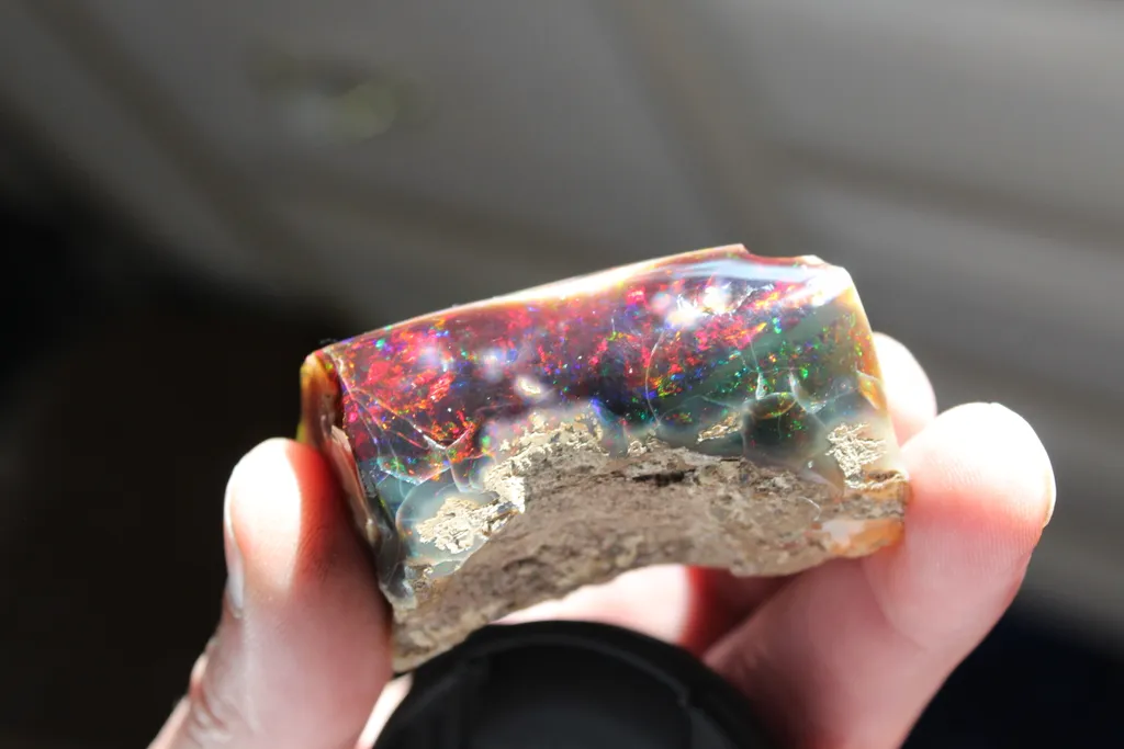 Opal from USA, Nevada - image 3