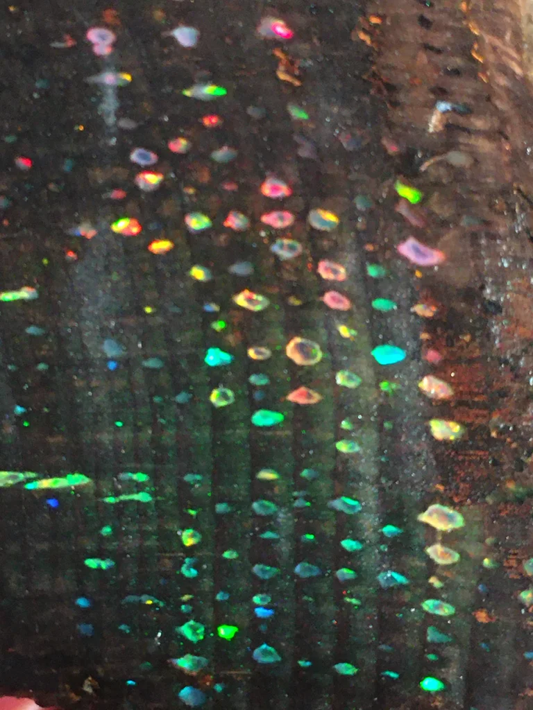 Opal from Virgin Valley District - image 2