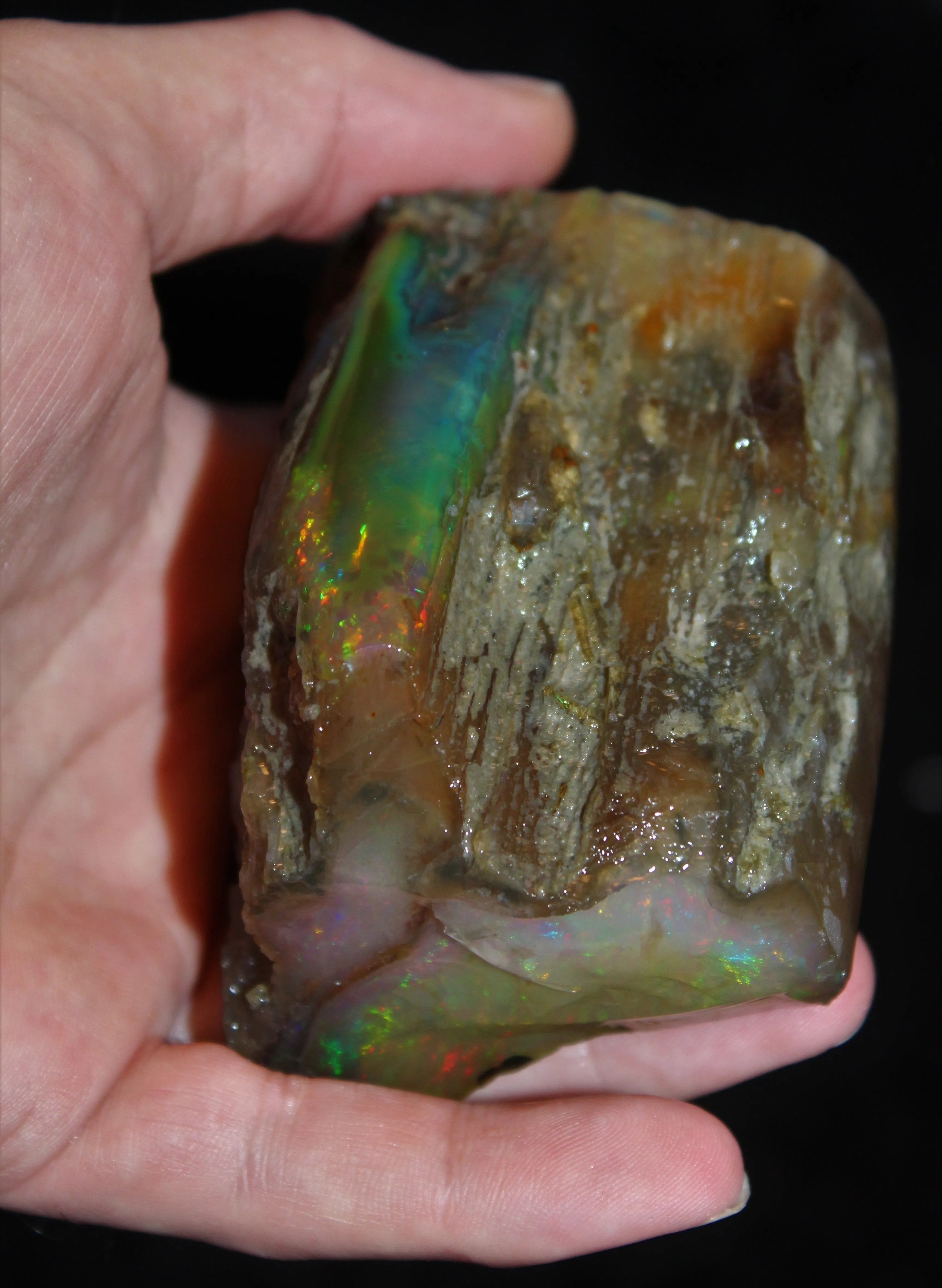 Opal from Virgin Valley, Humboldt County, Nevada USA - image 1