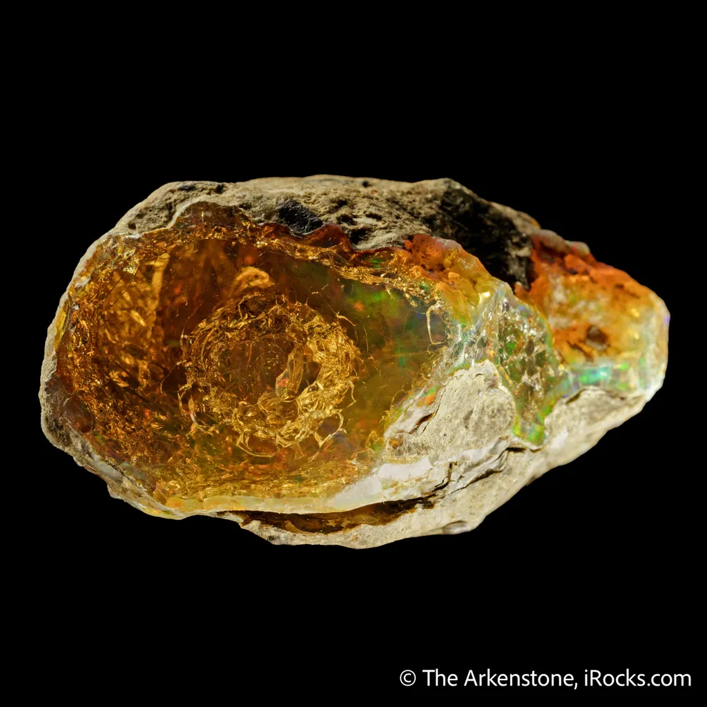 Opal (nodule) - image 5