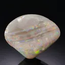 OPAL ps. after Bivalve - image 1