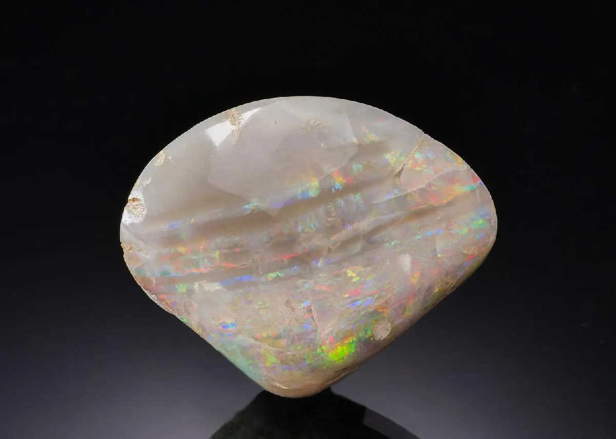 OPAL ps. after Bivalve - image 1