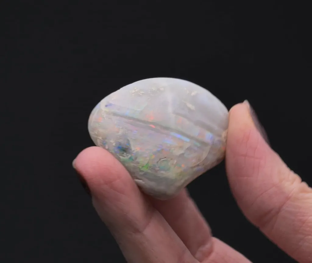 Opal ps. after Bivalve - image 2