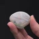 OPAL ps. after Bivalve - image 2