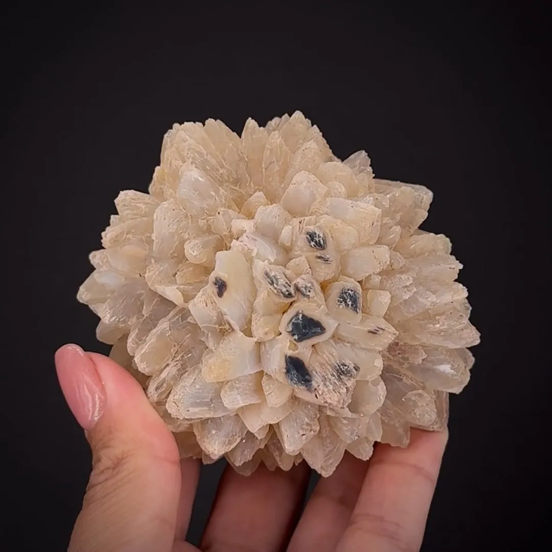 Opal ps. Ikaite - image 1