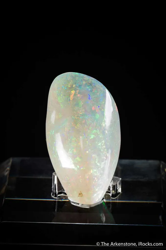 Opal replacement after fossil Mussel image