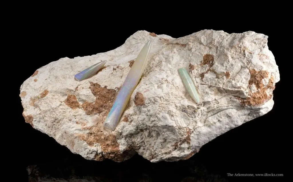 Opal Replacement Of Belemnite Fossil - image 3