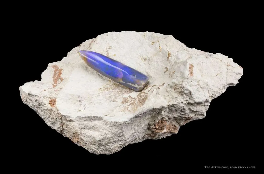 Opal Replacement Of Belemnite Fossil - image 2
