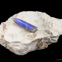 Opal Replacement Of Belemnite Fossil - image 2
