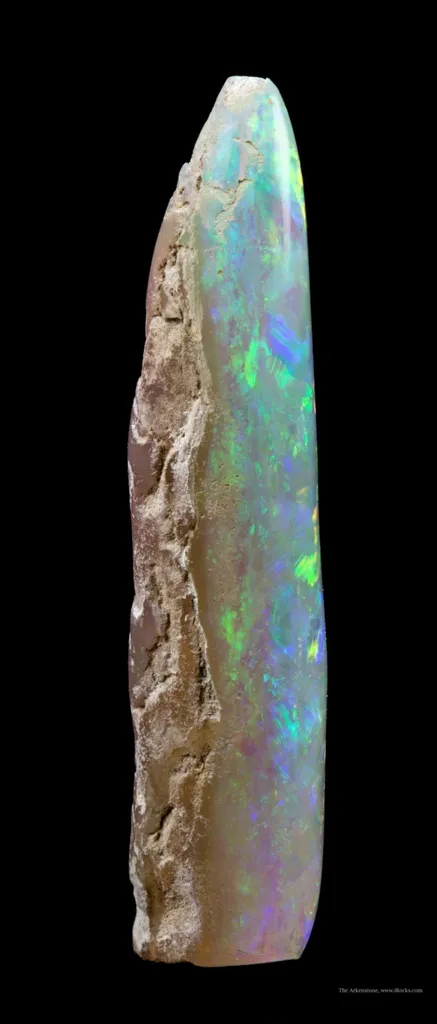 Opal Replacement Of Belemnite Fossil - image 4
