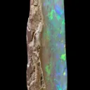 Opal Replacement Of Belemnite Fossil - image 4