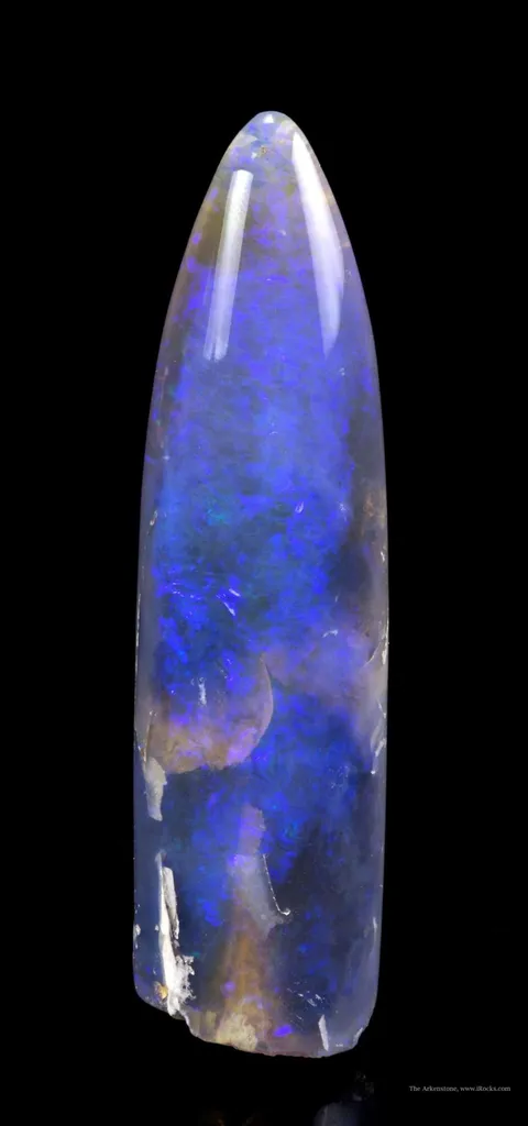 Opal Replacement Of Belemnite Fossil - image 4