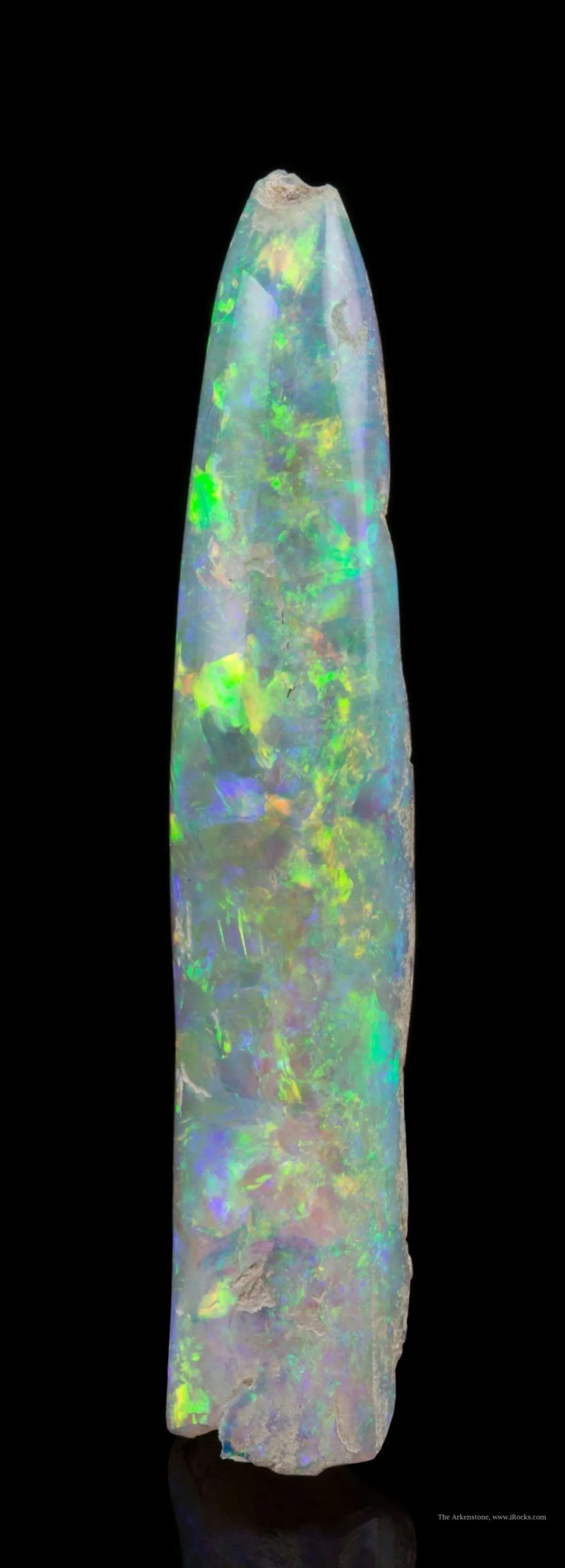 Opal Replacement Of Belemnite Fossil - image 2