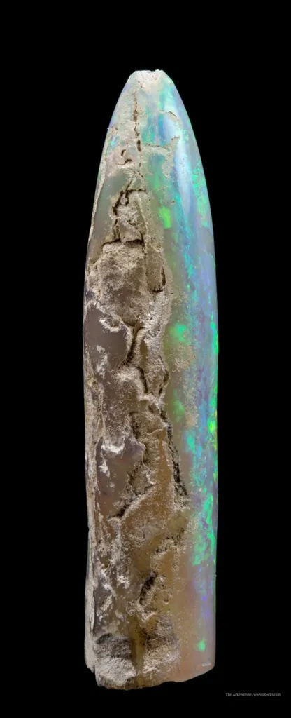 Opal Replacement Of Belemnite Fossil - image 3