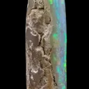 Opal Replacement Of Belemnite Fossil - image 3