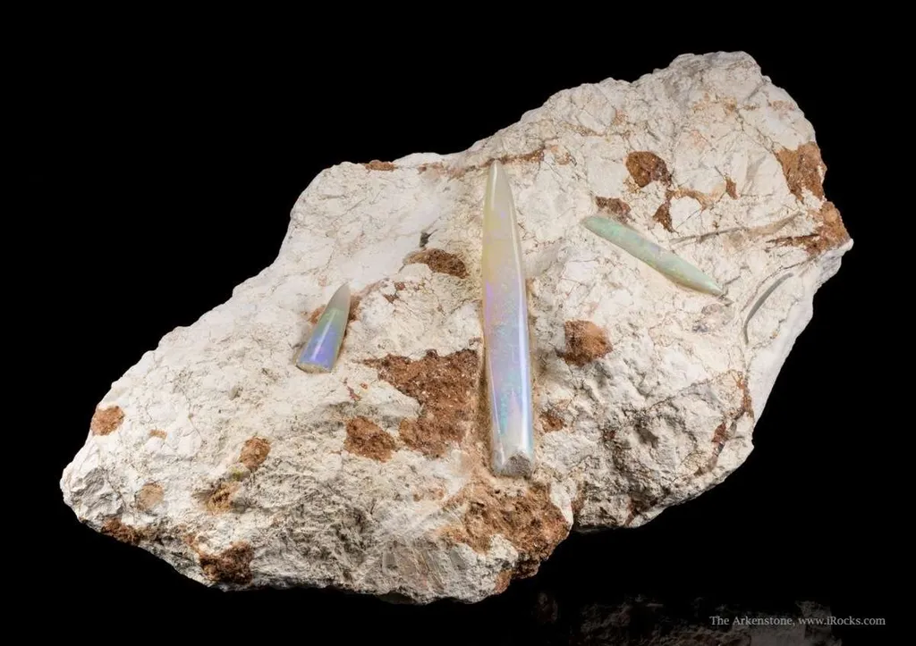 Opal Replacement Of Belemnite Fossil - image 5