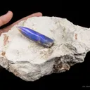 Opal Replacement Of Belemnite Fossil - image 1