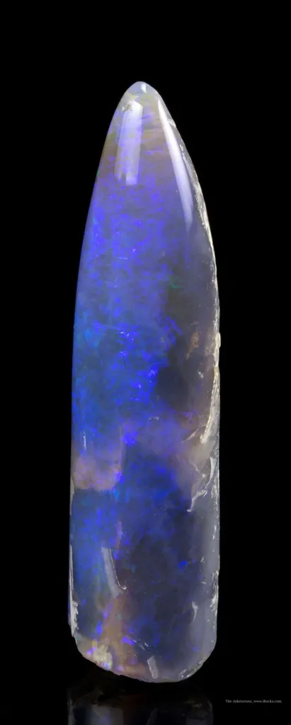 Opal Replacement Of Belemnite Fossil - image 5