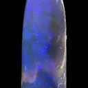 Opal Replacement Of Belemnite Fossil - image 5