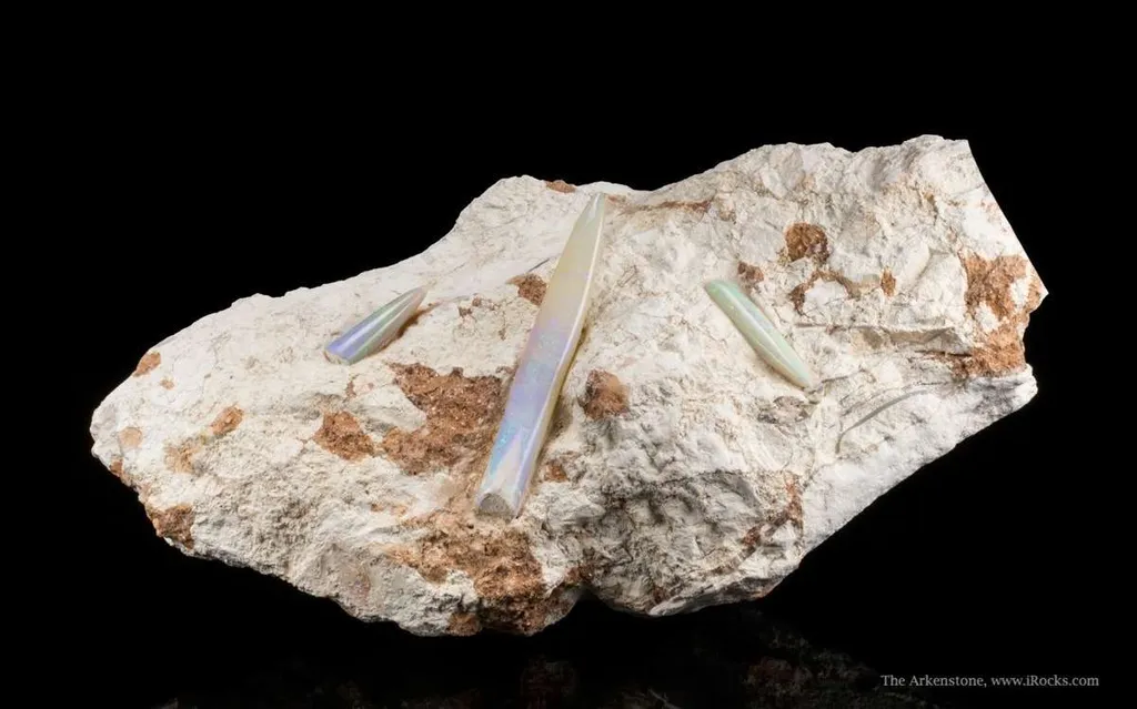 Opal Replacement Of Belemnite Fossil - image 2