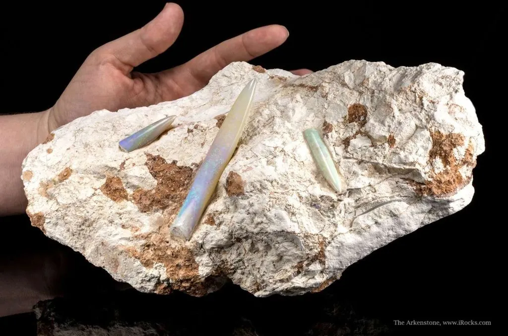 Opal Replacement Of Belemnite Fossil - image 4