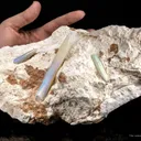 Opal Replacement Of Belemnite Fossil - image 4